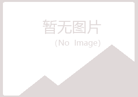 白银平川字迹咨询有限公司